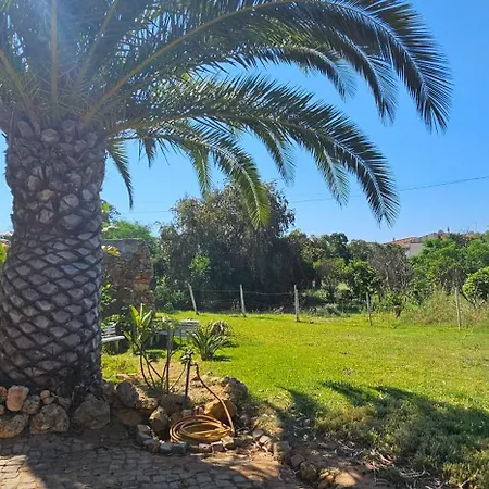Quinta Do Lagar - Rural Retreat By The #7 * Албуфейра